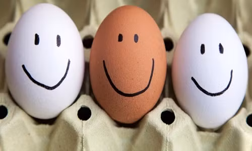 Một số giống gà mái nuôi trong môi trường hữu cơ được cho ăn thức ăn giàu omega-3, trong đó có hạt lanh. Loại gà này đẻ ra loại trứng giàu axit béo. Về kỹ thuật, trứng hữu cơ giàu omega-3, bất kể màu trắng hay màu nâu, mới chính là loại trứng tốt nhất cho sức khỏe và cũng là loại trứng đắt tiền nhất.