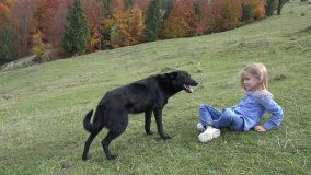 Hãy mổ xẻ nỗi sợ hãi của trẻ trên thực tế. Sự sợ hãi bắt nguồn từ việc không kiểm soát được cảm xúc. Chẳng hạn một đứa trẻ sợ chó sẽ không biết làm thế nào khi con chó trước mặt trở nên hung dữ., không biết cách xác định xem con chó đó có cắn trẻ con hay không... Lúc này trẻ sẽ tìm cách tránh xa cho an toàn.