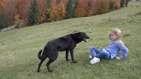 Hãy mổ xẻ nỗi sợ hãi của trẻ trên thực tế. Sự sợ hãi bắt nguồn từ việc không kiểm soát được cảm xúc. Chẳng hạn một đứa trẻ sợ chó sẽ không biết làm thế nào khi con chó trước mặt trở nên hung dữ., không biết cách xác định xem con chó đó có cắn trẻ con hay không... Lúc này trẻ sẽ tìm cách tránh xa cho an toàn.