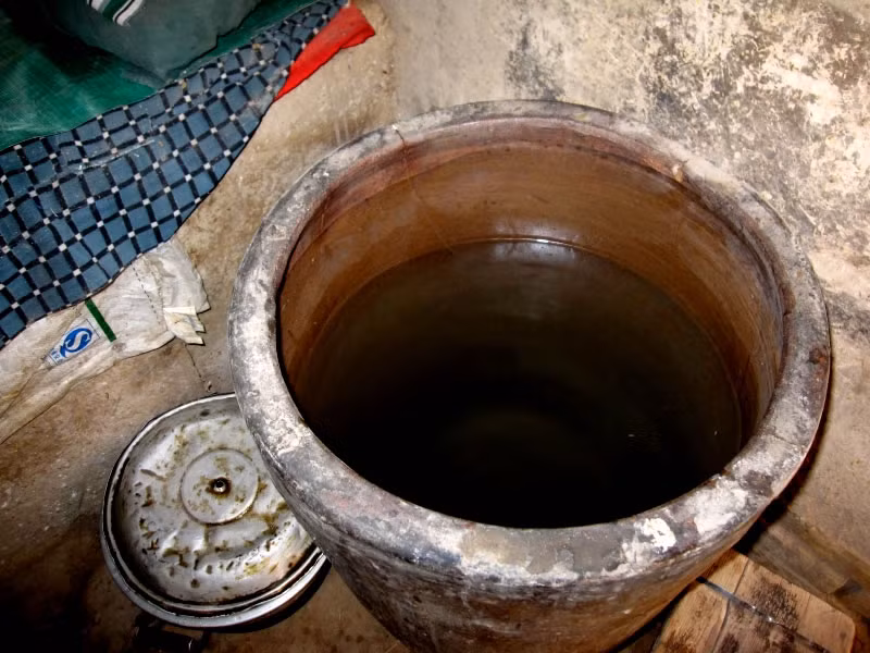 Thuốc trường sinh có thật? Một người đàn ông Ấn Độ đã tiết lộ vài bí quyết sống lâu đơn giản: chơi với bạn tốt, tin vào thần linh, luôn nhìn vào mặt tốt của mọi người, ăn chay. Bí quyết thứ năm được tiết lộ sau khi ông qua đời rằng ông đã uống một thứ thuốc kỳ bí gì đó sền sệt như bùn trong Thế chiến thứ 2 do một người làng đưa cho và quả quyết ông sẽ sống tới ít nhất 100 tuổi. Thực tế ông đã sống tới 110 tuổi.