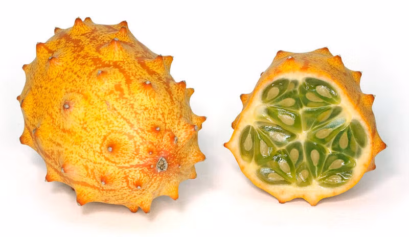 Dưa chuột sừng châu Phi là một trong những loại quả lâu đời nhất đã có từ cách đây 3.000 năm, có vị hơi lai giữa dưa chuột và chanh, có tác dụng điều trị chứng dư axit, ợ nóng và eczema. 