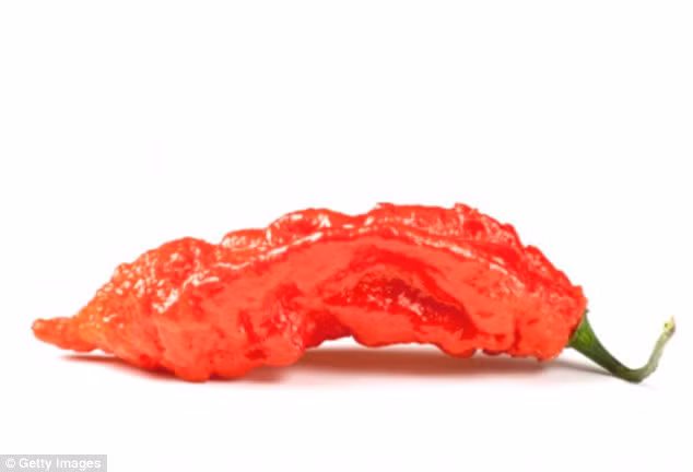 Thung co hong vi dai dot an loai ot cay nhat the gioi