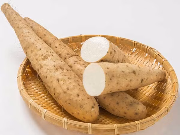 Nhờ có nhiều oestrogen, khoai mỡ dại có thể trị được chứng khô hạn, tăng cường ham muốn tình dục và còn tăng kích thước vòng 1. Khoai mỡ phơi khô rồi nghiền thành bột và trộn khoảng 1 thìa với kem dưỡng thể và mát xa vòng 1 khoảng 5 phút. Lưu ý không nên dùng khi mang thai vì phương thuốc này làm thay đổi hormone. 