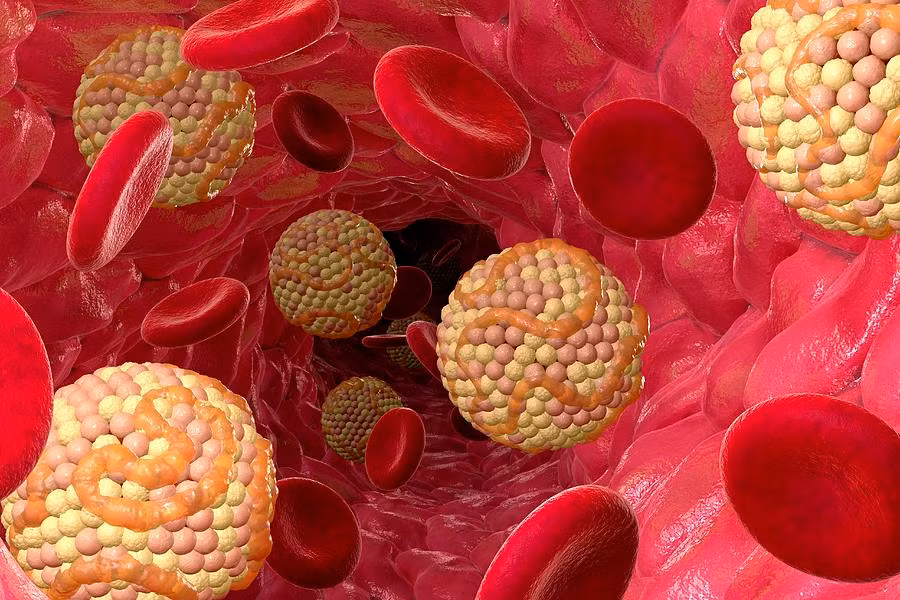 Bản chất của cholesterol là chất béo không tan trong nước nên để di chuyển trong máu, cholesterol phải kết thân với các protein phân tử tạo thành lipoproteins. Có hai loại cholesterol là LDL tức cholesterol xấu và HDL tức cholesterol tốt. Ở người bình thường tổng lượng cholesterol không vượt quá 5mmol/lít máu.