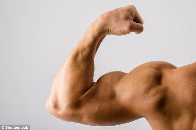 Nếu được sử dụng đúng cách, ánh sáng nhân tạo có thể tăng khả năng của các quý ông trong phòng ngủ. Các nhà nghiên cứu đã yêu cầu 38 đối tượng nam giới có ham muốn tình dục thấp đứng trước bóng đén khoảng 3 phút mỗi ngày trong vòng 2 tuần. 