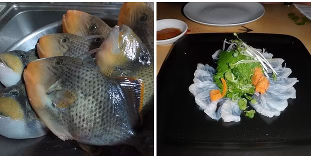 Cá nóc ở Trung Quốc được gọi là cá lột da vì cần phải lột đi lớp da cá vừa xù xì vừa cứng như đá mới lấy được phần thịt cá bên trong vừa chắc vừa ngọt. 