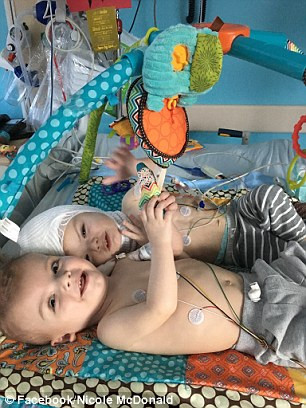 Hai bé giờ đây đã có thể nằm cạnh nhau và trò chuyện với nhau bằng ngôn ngữ chỉ chúng mới hiểu. Chia sẻ về những khoảnh khắc này, người mẹ Nicole đã nói “trái tim tôi cần phải lớn hơn nữa mới đủ chứa đầy tình yêu tôi dành cho hai con của mình”. (Nguồn ảnh: Dm)