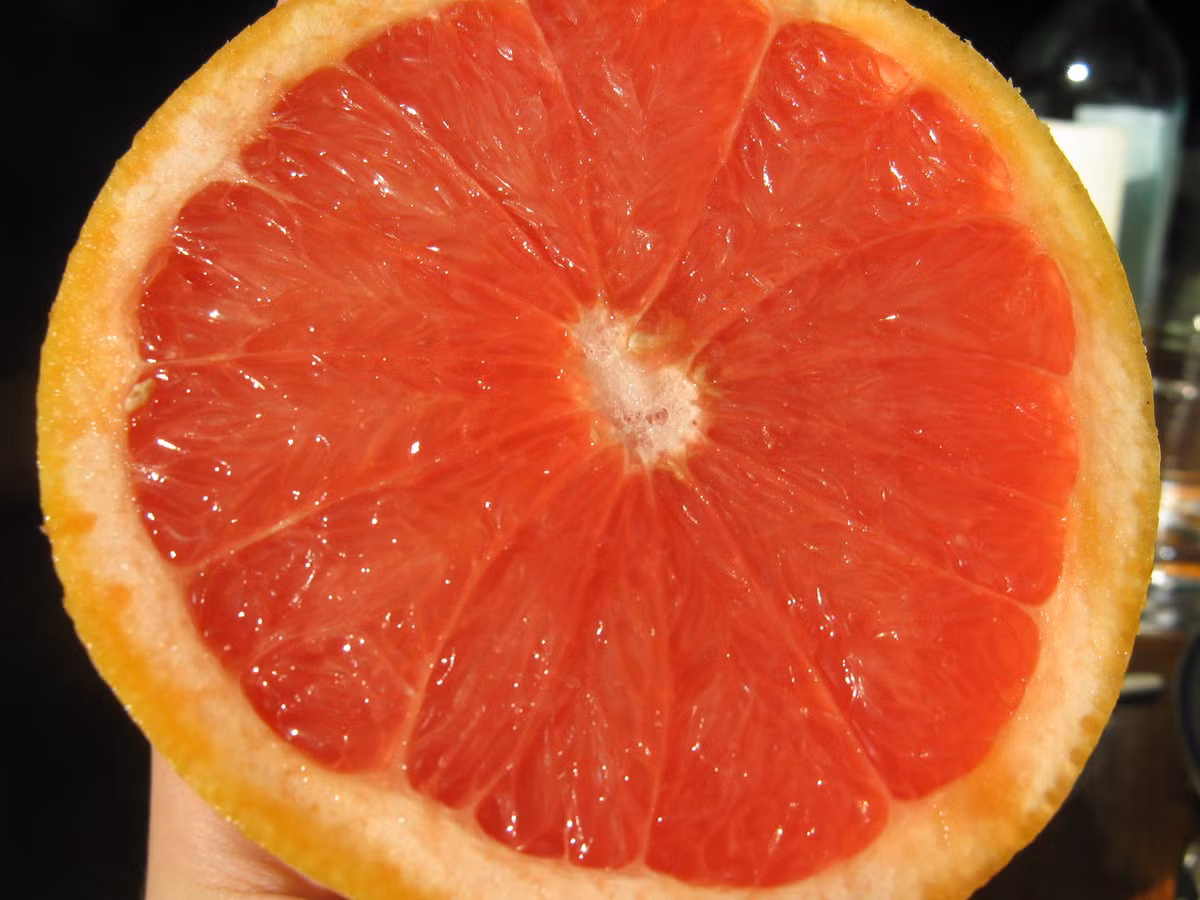 Các loại quả họ cam quýt có chứa nhiều vitamin C không chỉ tăng cường miễn dịch mà còn giúp đầu óc tỉnh táo dù chỉ ngửi mùi hương.