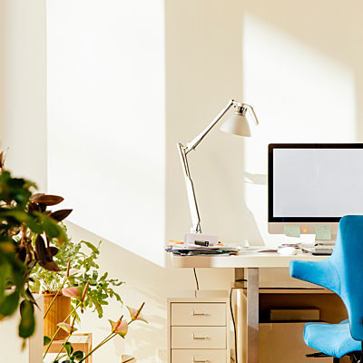 Cây xanh: Đặt thêm vài chậu cây xanh nho nhỏ để tăng thêm sự yên bình trong tâm hồn và không gian làm việc thêm đa dạng.