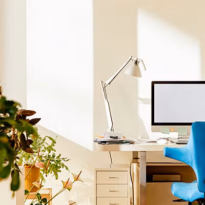 Cây xanh: Đặt thêm vài chậu cây xanh nho nhỏ để tăng thêm sự yên bình trong tâm hồn và không gian làm việc thêm đa dạng.