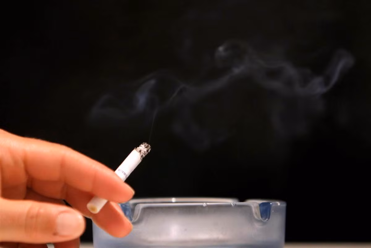 Tim mạch và ung thư đều là hai bệnh do lỗi gien, một số trường hợp lỗi gien là do di truyền, số còn lại là do sinh hoạt hàng ngày, trong đó khói thuốc là thủ phạm lớn nhất. 