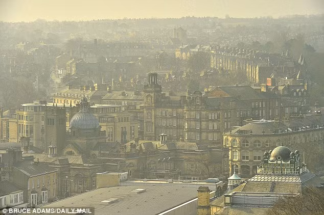 Người đứng đầu nghiên cứu, giáo sư Barbara Hoffman thuộc Đại học Heinrich-Heine (Đức), cho biết “Kết quả của nghiên cứu này cho thấy việc tiếp xúc lâu dài với các phần tử gây ô nhiễm có liên quan mật thiết với sự căng thẳng”. Không khí càng ô nhiễm thì huyết áp càng cao và đối với tiếng ồn cũng vậy. 