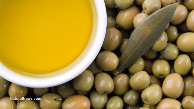 Tiêu chuẩn quan trọng nhất của dầu oliu là độ tươi. Một chai dầu oliu tươi có cảm giác giống như một đĩa salad mới trộn gồm toàn những nguyên liệu tươi ngon. Độ tươi mới cũng ảnh hưởng đến dinh dưỡng, dầu càng mới thì càng nhiều chất chống oxy hóa. 