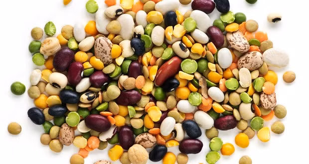 Đậu đỏ là nguyên liệu của rất nhiều món ăn ngon nhưng chứa lectin là tác nhân gây nôn mửa và chóng mặt. Tuy nhiên chất độc trong đậu đỏ lại được trung hòa nếu đã qua chế biến. Đậu đóng hộp cũng đã được xử lý trước nên không còn là thực phẩm nguy hại nữa. Bạn nên cẩn thận với các loại đậu khô khi chế biến cần ngâm kỹ trong nước và nấu nhỏ lửa.