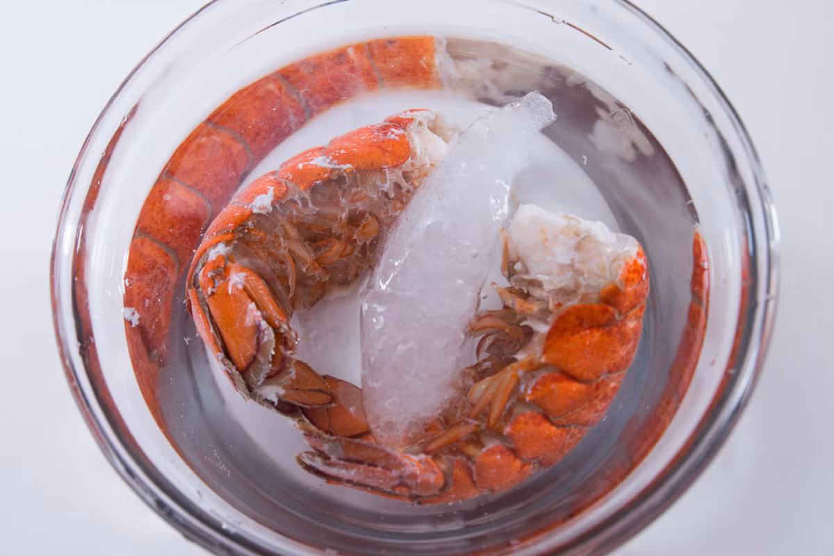 Tôm chín thì vớt ra thả ngay vào một bát nước đá để tôm được giòn. Sau khi tôm nguội thì vớt ra để ráo nước rồi lột vỏ. 