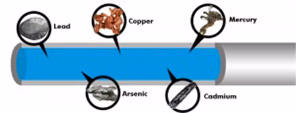 Nhiễm độc kim loại nặng chiếm tỉ lệ lớn trong số những trường hợp tử vong tại Mỹ. Những kim loại nặng có thể đi vào trong nước là sắt, chì, catmi, thủy ngân… Nhiễm độc kim loại nặng không những rất có hại cho sức khỏe mà khi nhiễm cùng lúc với một số bệnh tật có thể gây ra hậu quả chết người. 