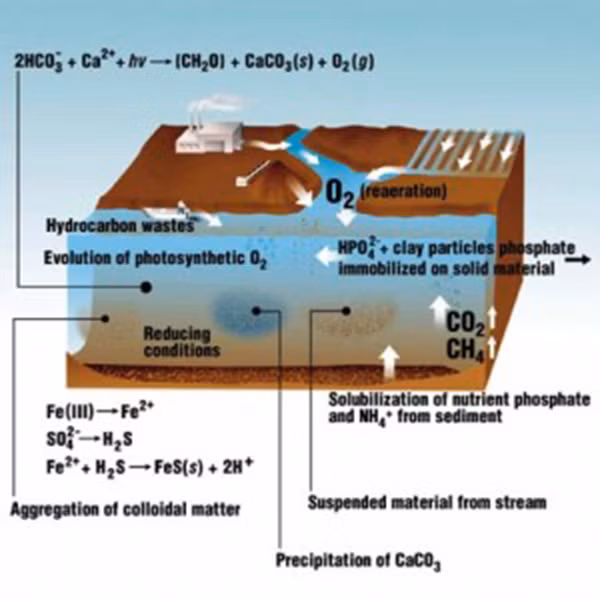 Một số loại khí hòa tan trong nước uống được có thể gây rất nhiều rắc rối đối với xức khỏe. Thừa oxy và ni tơ trong nước không chỉ làm nước bị ô nhiễm mà còn khiến đất cũng bị ô nhiễm theo, từ đó ảnh hưởng đến cây trồng. 