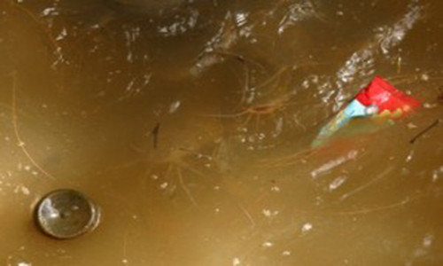 Chất bẩn nổi trên mặt nước có thể là chất thải từ người, động vật, cây cối. Nhưng một số chất bẩn này có thể đã có sẵn trong nước từ những nguồn nước hoặc đi vào nguồn nước khiến nước trông trong và sạch. Một số tạp chất trong nước như cát, bùn và đất sét thường làm nước bị ô nhiễm và nếu chỉ lọc không thì không đủ sạch để dùng mà phải qua các biện pháp xử lý nước khác. 