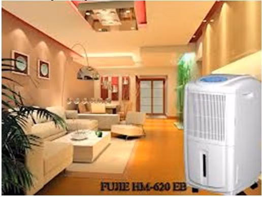 Trong không gian chơi hoặc ngủ của trẻ nên dùng máy hút ẩm.