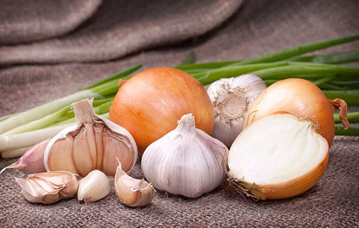 Vi khuẩn là nguyên nhân chủ yếu khiến hơi thở có mùi khó chịu. Thức ăn còn dính lại ở răng và nướu sẽ tạo thành mảng bám, nơi vi khuẩn sẽ sinh sôi và thải ra những chất gây mùi khó chịu.