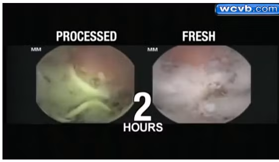 Sau 2 tiếng, thực phẩm chế biến tại nhà gần như đã được dạ dày nghiền nhuyễn trong khi mì tôm vẫn còn ở dạng sợi. Như vậy, mì tôm được tiêu hóa chậm hơn rất nhiều so với các thực phẩm chế biến thông thường. 