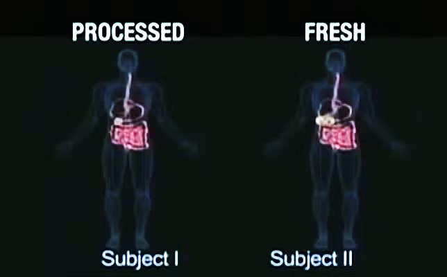 Là một loại thực phẩm chế biến sẵn và để được rất lâu nên trong mì tôm có rất nhiều chất bảo quản nên hẳn người tò mò xem loại đồ ăn này sẽ được tiêu hóa như thế nào bên trong ruột. 