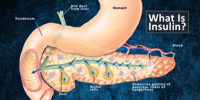 Một lý do khác khiến bạn nghiện đồ ngọt là có thể cơ thể bạn có vấn đề với kháng thể insulin, nghĩa là cơ thể không cân bằng được insulin trong máu và đào thải đường ra khỏi cơ thể để đốt mỡ nhanh hơn. Để giải quyết điều này hãy thay thế đồ ăn vặt có đường bằng rau và hoa quả trong một vài tháng.