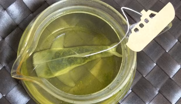 Sau phiên bản túi trà cá mập, công ty này còn có kế hoạch cho ra phiên bản túi trà cá mập voi.