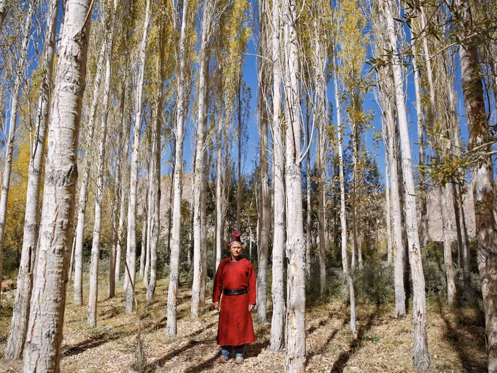 Các cơ sở y tế cũng được cải thiện. Tuy nhiên, bà Testing Yangchan cho biết tỷ lệ tội phạm đã tăng lên. Kinh tế phát triển đem lại nhiều thay đổi, cả tốt và xấu, cho những thị trấn ở vùng hẻo lánh như Leh. 