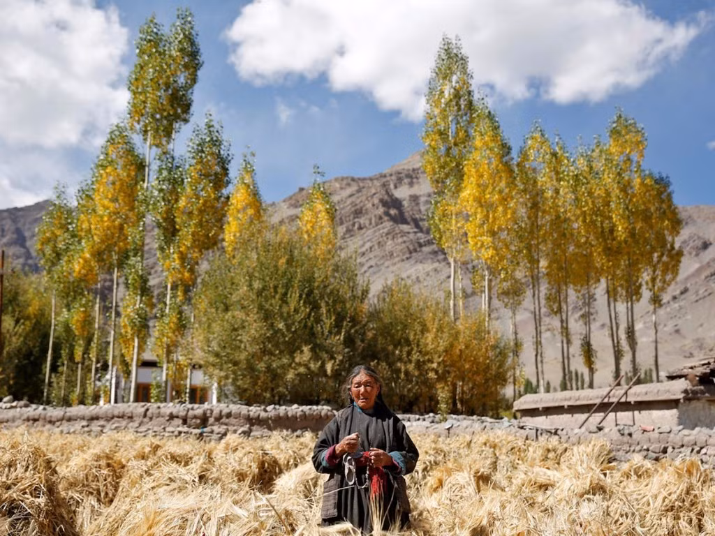 Phunchock Angmo, giáo viên toán, nhận thấy trẻ em không còn hứng thú tìm hiểu về nền văn hóa Phật giáo. 