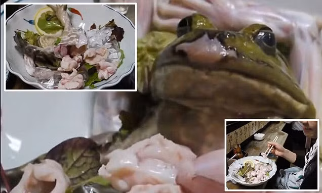 Ẩm thực Nhật Bản nổi tiếng với những món sushi và hải sản sống như bạch tuộc sống, mực sống có phần kinh dị. 