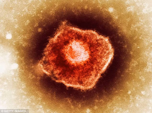 Đối với những người chưa từng bị thủy đậu khi còn nhỏ nhưng lại bị ở tuổi trưởng thành thì còn đáng sợ hơn, nhất là ở phụ nữ có thai vì tính mạng của cả mẹ và thai nhi đều bị đe dọa vì hệ miễn dịch bị vi khuẩn đè bẹp. 