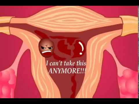 Khi đèn đỏ bắt đầu ghé thăm, lượng oestrogen và progesterone giảm xuống mức thấp nhất. Đây là lúc bạn có thể chạy tốc độ cao hoặc thực hiện các hoạt động thể thao cường độ cao mà không thấy mệt. Tuy nhiên, chỉ nên tập luyện trong kỳ đèn đỏ một cách nhẹ nhàng như tập các bài tập cardio nhẹ nhàng hoặc bơi lội. 