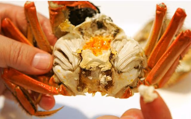 Quốc khánh Trung Quốc là vào tháng 10 và cũng là mùa cua lông. Tháng 10 mùa thu cũng là mùa vịt, thực phẩm được cho là bổ và chống khô da vào mùa thu. 