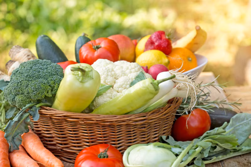 Ý tưởng ăn thức ăn còn nóng xuất phát từ ý tưởng thực phẩm là năng lượng được nạp vào qua đường ăn uống. Hoa quả hợp với mùa hè làm mát cơ thể và giúp chống chọi với nắng nóng. Ngược lại, hoa quả hợp với mùa đông phải nhiều năng lượng hơn để chống lại cái lạnh. Rau sống, các loại quả và rau xanh là bước khởi đầu của chế độ ăn uống khỏe mạnh nhưng cơ thể thỉnh thoảng vẫn cần thức ăn nóng. Vì vậy, chế độ ăn cần đảm bảo sự đa dạng. 