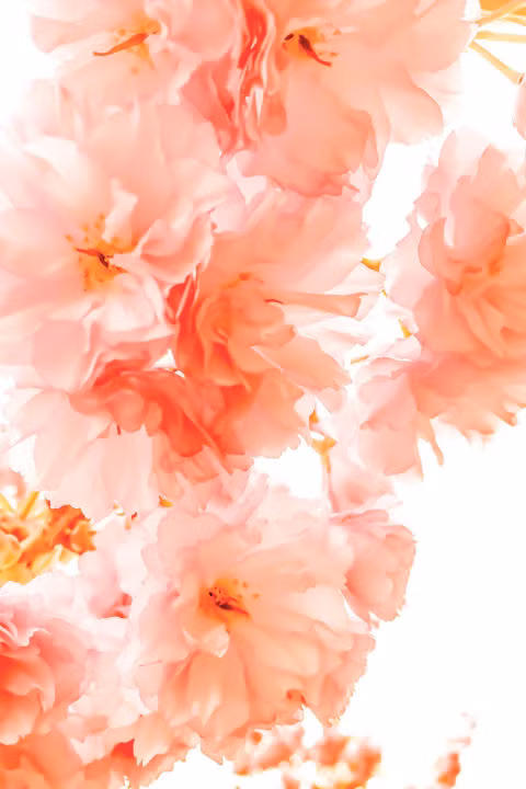 Những người phụ nữ thích hương hoa là những người lãng mạn và thời trang. Những người này thường nắm bắt xu thế tốt và không bao giờ tiếc tiền mua những món đồ nhỏ nhưng có giá trị như vài tấm thiệp.