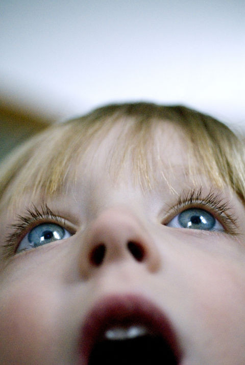 Nhìn nhận mọi thứ bằng giác quan của một đứa trẻ như tò mò, thích khám phá, phiêu lưu…