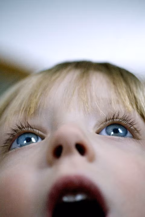 Nhìn nhận mọi thứ bằng giác quan của một đứa trẻ như tò mò, thích khám phá, phiêu lưu…