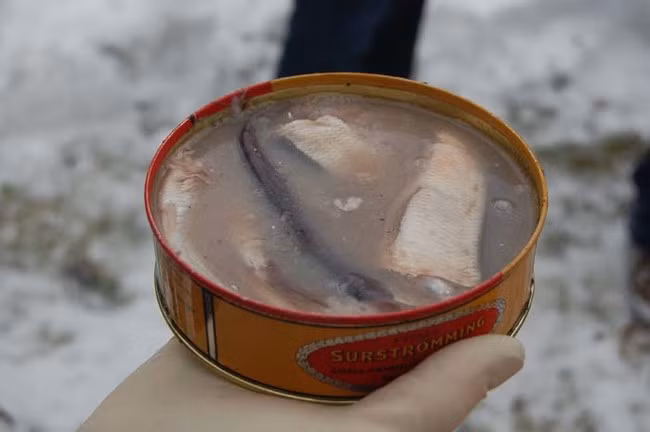 Surströmming chỉ đơn giản là món cá muối. Nguyên liệu duy nhất để giữ cho món cá thối này không bị phân hủy là muối, rất nhiều muối. Mỗi thùng surströmming được lên men trong khoảng 6 tháng thì mới ăn được. Và vì món ăn có mùi rất thối nên thường được ăn ở ngoài trời. 