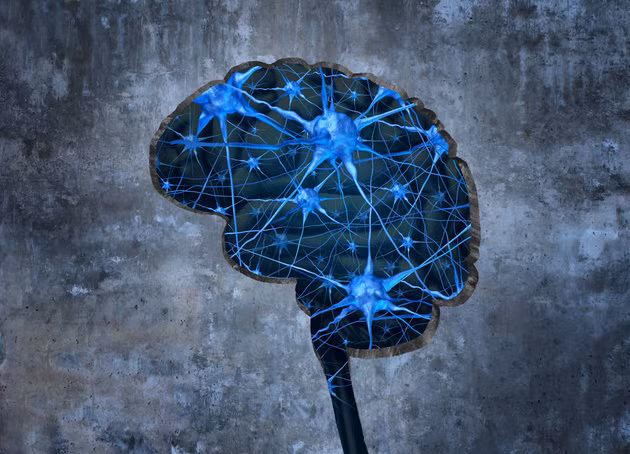 Sự chênh lệch múi giờ còn gây nên sự suy giảm trí nhớ. Những chuyến bay quốc tế dài làm tăng lượng cortisol – một loại hooc-môn có ảnh hưởng đến hoạt động nhận thức. Vì vậy nên những người thường xuyên phải đi công tác xa qua nhiều múi giờ thường có trí nhớ kém hơn hẳn. 