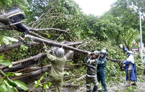 Các đơn vị quân đội tích cực khắc phục hậu quả bão số 1 Cac don vi quan doi tich cuc khac phuc hau qua bao so 1
