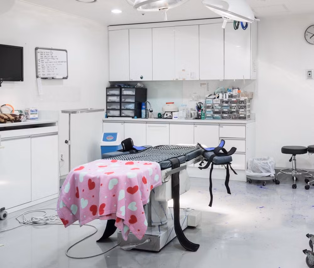 Bệnh nhân thường được gây mê trong phòng phẫu thuật trước, sau đó bác sĩ có mặt và thực hiện công việc của mình và khi tỉnh dậy thì bác sĩ đã đi từ lâu rồi. 