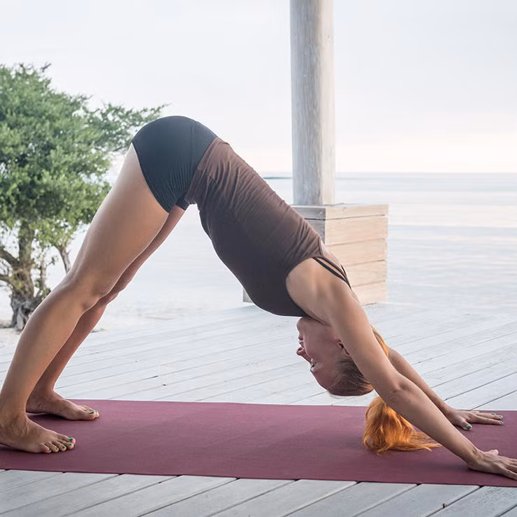 Tư thế yoga phổ biến được nhiều người biết đến là tư thế chó cúi đầu. Nhưng khi đã ngồi quá lâu hoặc không được năng động cho lắm, việc cố gắng giữ lòng bàn chân trên mặt thảm sẽ không có lợi cho lưng dưới và gân kheo. Để dễ dàng hơn, bạn có thể chùng gối lại một chút để xương cụt được nâng cao hơn. 