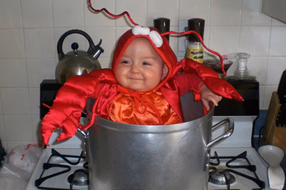 Có ai thấy con tôm nào sắp bị luộc mà vẫn cười toe toét thế này không? (Ảnh: Boredombash)