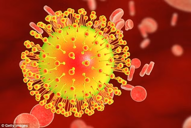 Mặc dù đang có rất nhiều nghiên cứu được thực hiện để tìm hiểu sâu hơn về virus Zika nhưng số người nhiễm loại virus nguy hiểm này vẫn không ngừng tăng lên. Tính đến nay đã có 11 nước trên thế giới có người bị nhiễm virus Zika qua đường tình dục. Điều này cho thấy những hiểu biết của con người về loại virus này mới chỉ ở vòng ngoài. 