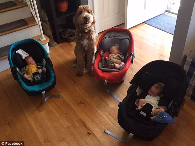 Cặp bố này hiện đang phải nghỉ phép ở nhà để chăm sóc 3 đứa con vì ba bé này sinh non lúc 35 tuần nhưng sau 3 tháng sức khỏe đã ổn định. 