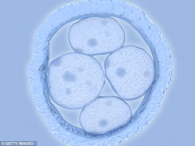 Hiện đang trong quá trình thử nghiệm, phương pháp này dùng các nhân tố phát triển để làm tăng hiệu quả của phương pháp điều trị vô sinh hiện có là trưởng thành trứng (IVM) .