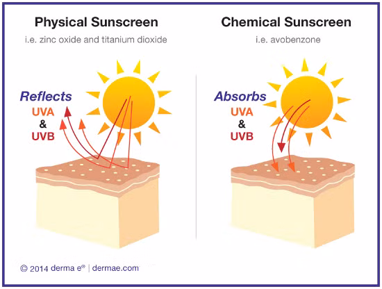 Kem chống nắng hóa học có chứa những thành phần tiêu biểu như oxybenzone, avobenzone, octisalate, octocrylene, homosalate, and octinoxate. 
