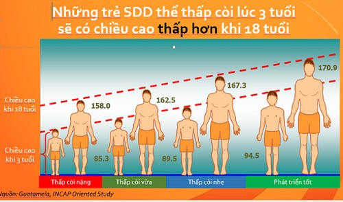 Tại Hội thảo “Khuyến nghị sử dụng sữa và chế phẩm sữa cho người Việt Nam” vừa được tổ chức tại Hà Nội, PGS.TS Lê Bạch Mai, Phó viện trưởng Viện Dinh dưỡng Quốc gia cho biết “ Trong vòng 30 năm qua, chiều cao của người Việt có cải thiện nhưng chậm. Tốc độ tăng chỉ 1-1,5cm trong một thập niên”