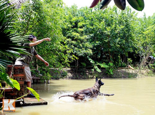 Giang còi đặc biệt thích nuôi chó. Có thời điểm, anh nuôi tới 5 con. 